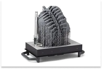 Precyzyjny model anatomiczny (klatka piersiowa) wydrukowany z żywicy SLA, obok suwmiarki cyfrowej symbolizującej kontrolę wymiarową.